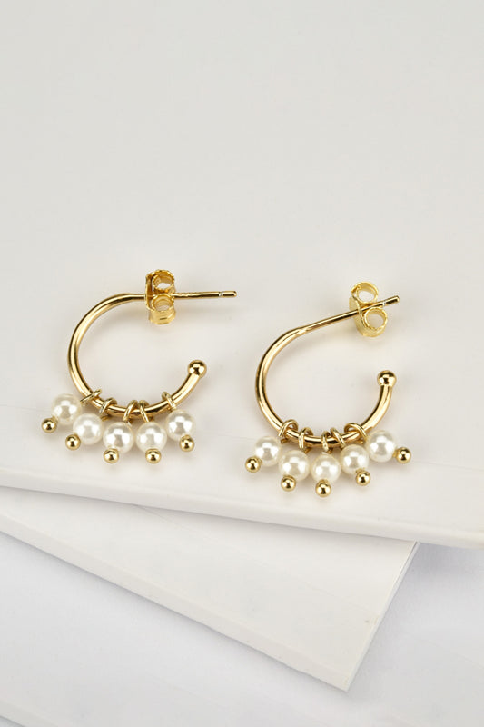 6-in-1 Gold & Silver Pearl Drop Earrings